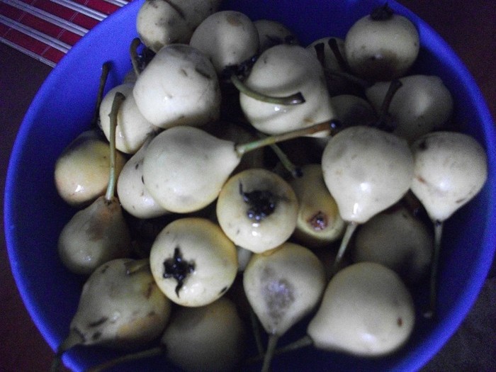 pere- iulie 2011 - DIVERSE