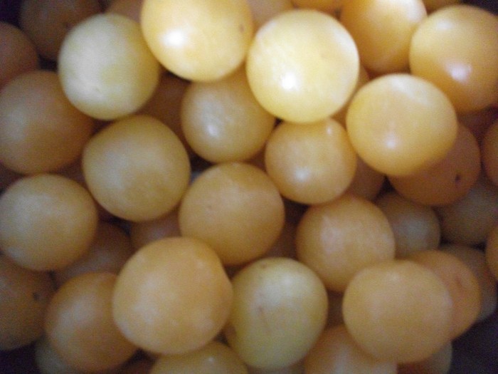 corcoduse-iulie 2011 - DIVERSE