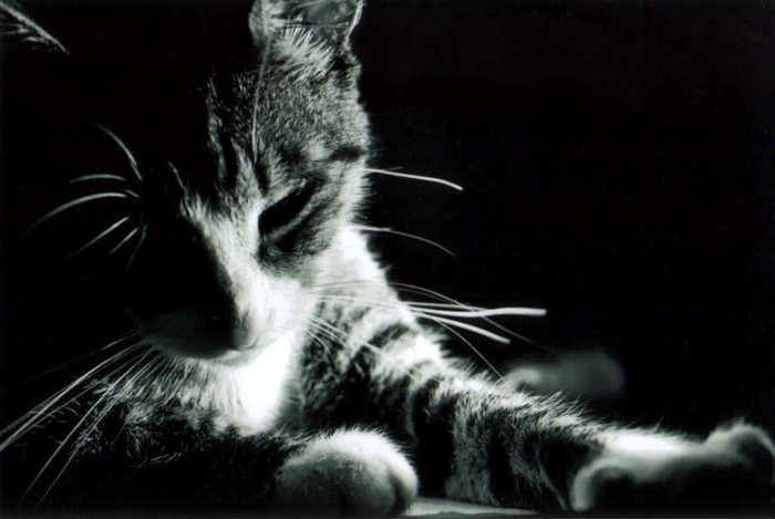 Aaaa am uitat sa va spun ca Oana ne urmarea =)) Ne suspecta de nush ce...