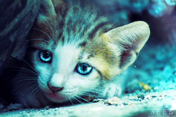 Si ma trezesc altundeva :))