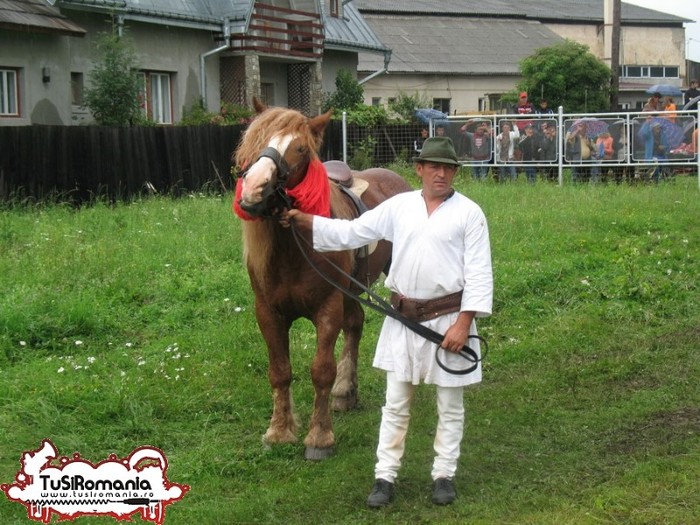 Expozitie canina concursuri forestiere demostratii tipice (3) - Parada cailor si a cainilor la Zilele Humorului