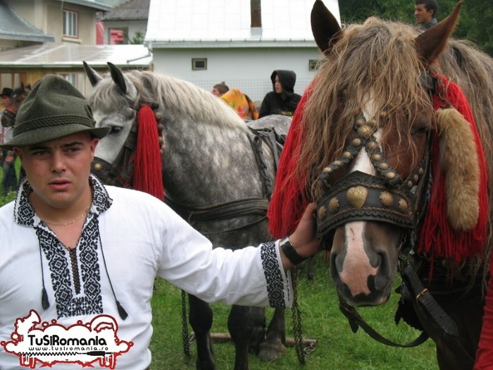 Expozitie canina concursuri forestiere demostratii tipice (17) - Parada cailor si a cainilor la Zilele Humorului