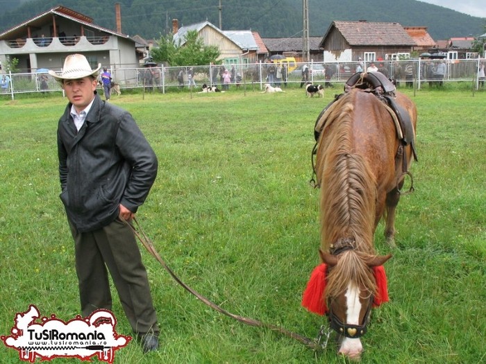 Expozitie canina concursuri forestiere demostratii tipice (82) - Parada cailor si a cainilor la Zilele Humorului