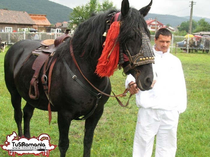 Expozitie canina concursuri forestiere demostratii tipice (84)