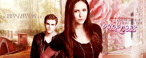 the_vampire_diaries_banner_1_by_mia47-d2zg62s