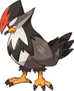 Staraptor - Top 6 pokemonii mei preferati