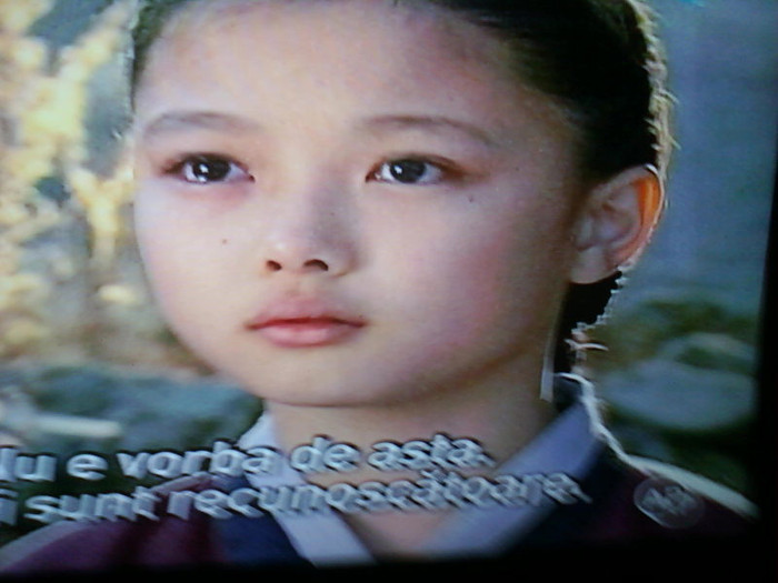 Dong Yi 95