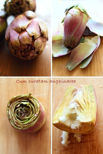 CUM CURATAM ANGHINAREA - Anghinare in gradina mea-Artichokes Cynara scolymus