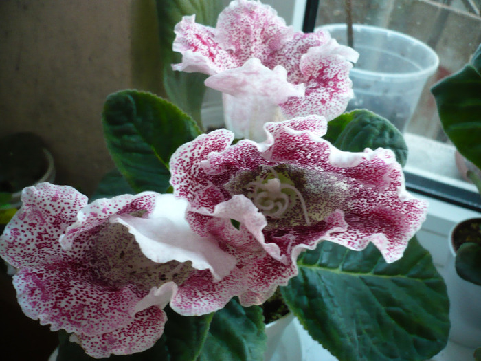 P1080540