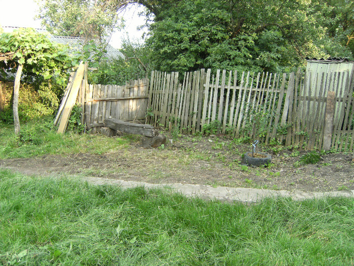7 iulie 2011 001