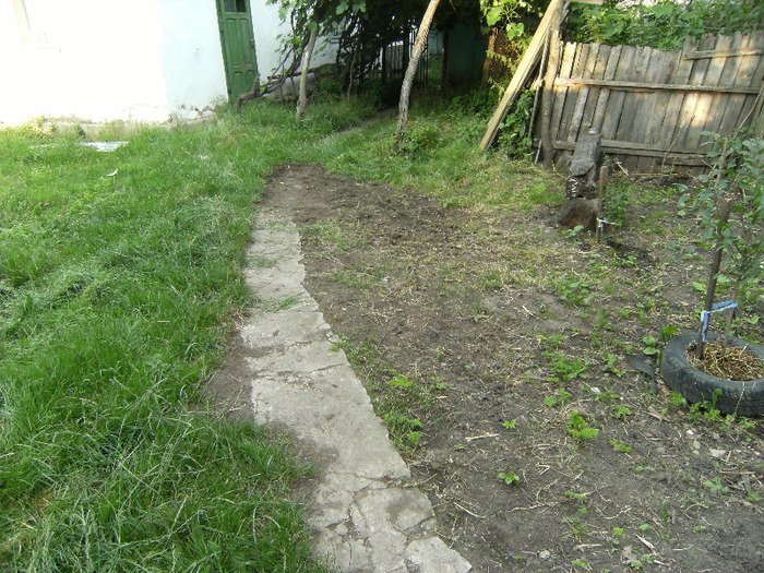 7 iulie 2011 002
