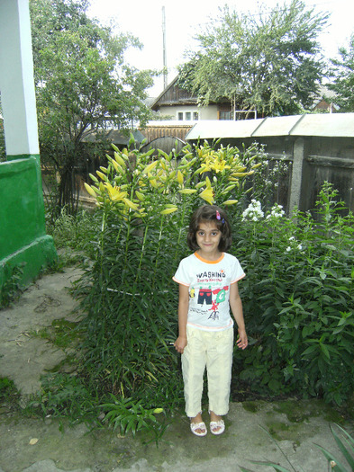 7 iulie 2011 012