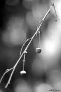 Artistica ..Creanga - x-About Me-x