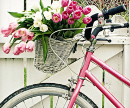 Bicicleta cu flory