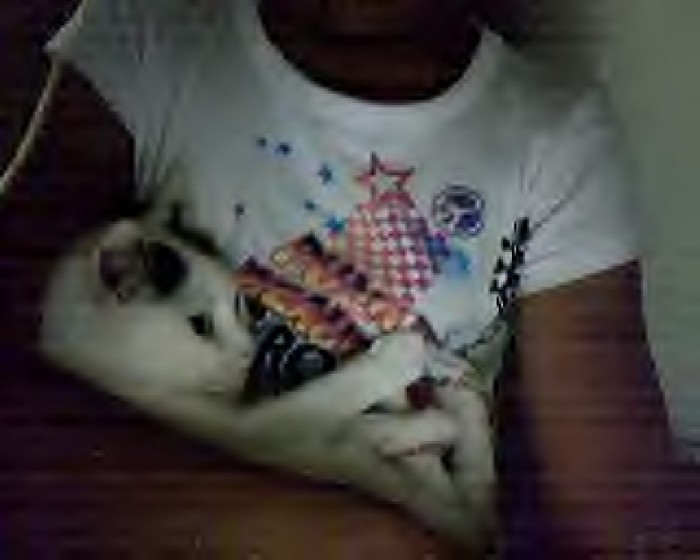 Matze And Mikii - x-About Me-x
