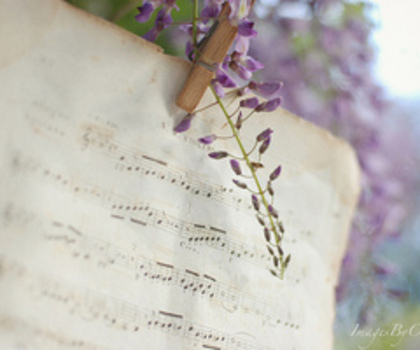 Notitse Musicale