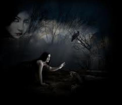 Poza artistica frumy