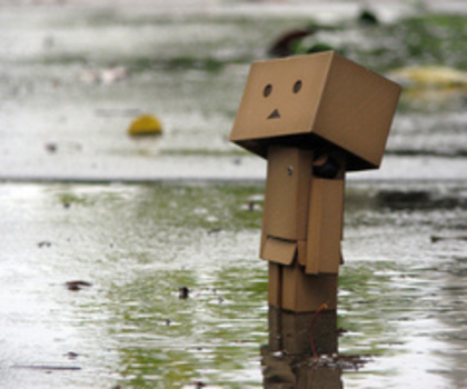 Danbo confuz~>xMikiiTeIuBeStee - x-DanBoo-x