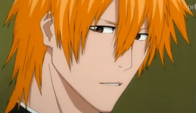 Ichigo - BLeacH