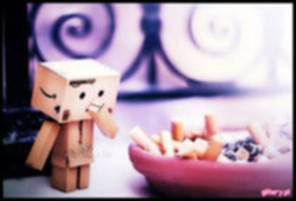 Danboo Papa Dulciuri