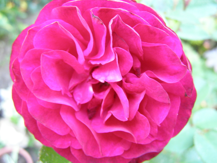 P5246343
