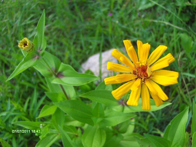 116 - 07_IULIE