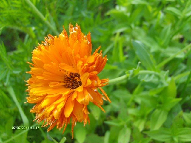 134 - 07_IULIE
