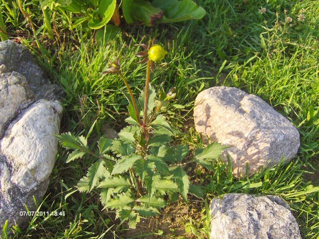 140 - 07_IULIE