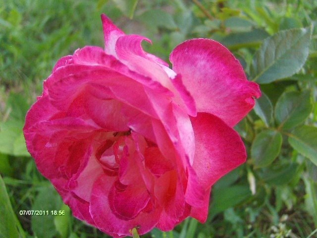160 - 07_IULIE