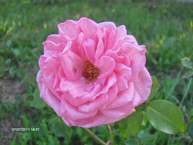 162 - 07_IULIE