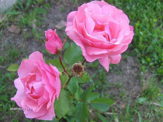 168 - 07_IULIE