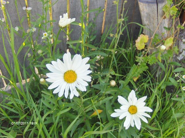 178 - 07_IULIE