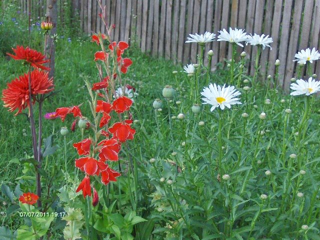 210 - 07_IULIE