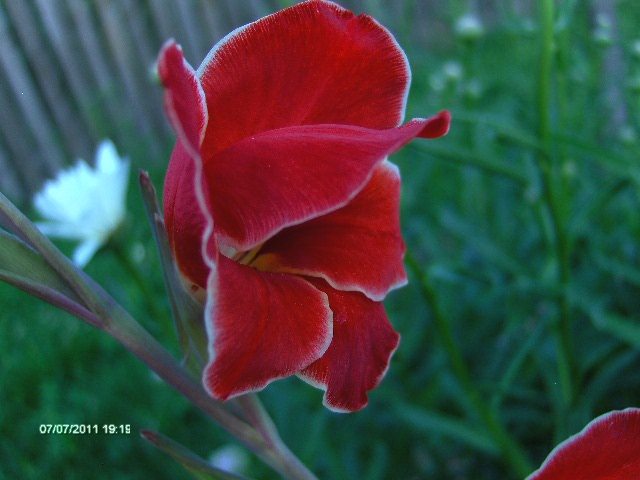 216 - 07_IULIE