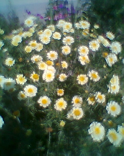 Fotogr.0015