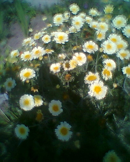 Fotogr.0016