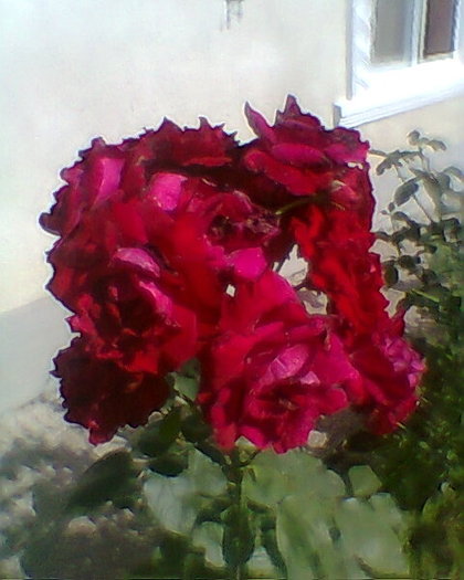 Fotogr.0027