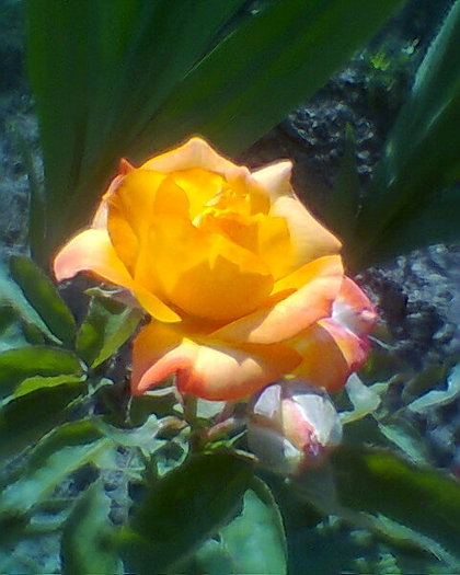 Fotogr.0030