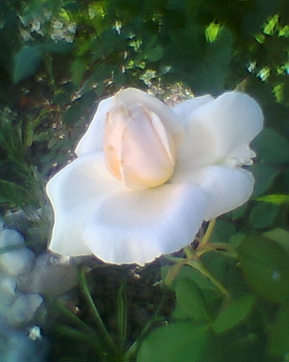 Fotogr.0031