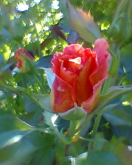 Fotogr.0032