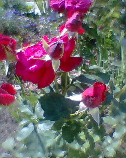 Fotogr.0038