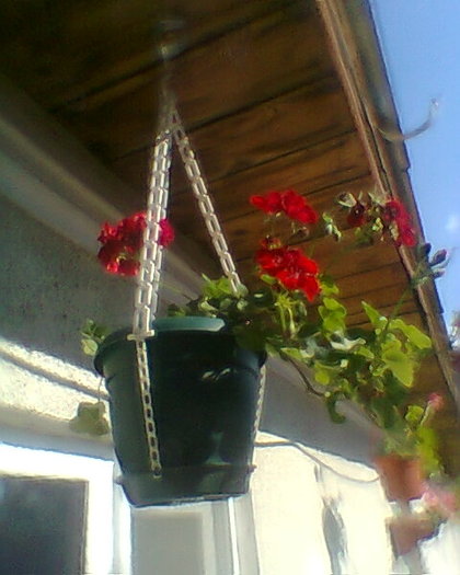 Fotogr.0046