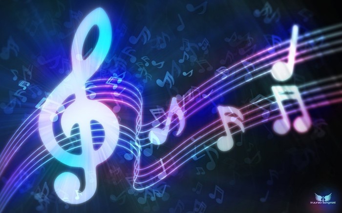 MUZICA{NO MUSIC NO LIFE}