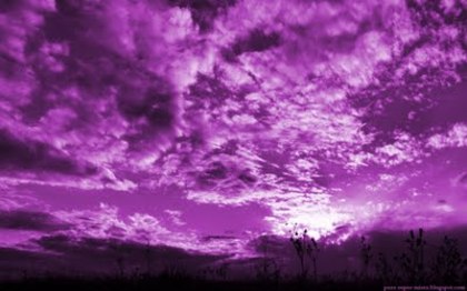 cer_violet - natura