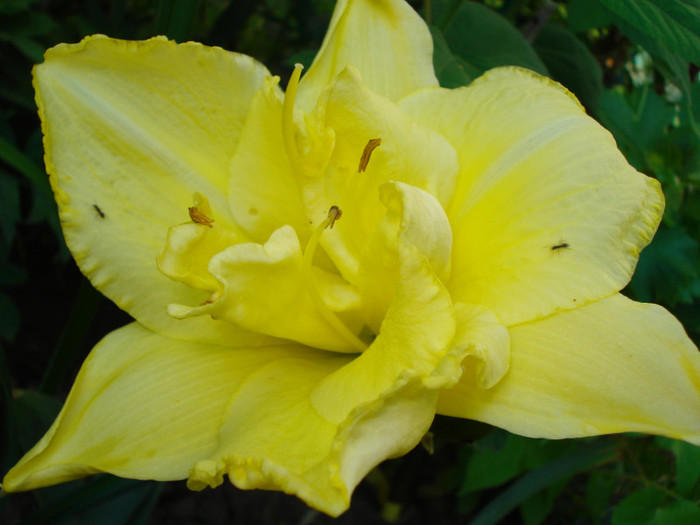 25. "Destination Y", 08.07.2011