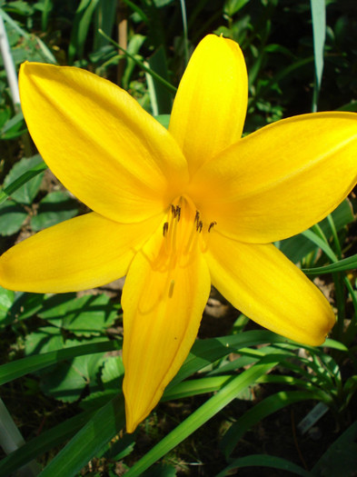 DSC09698 - Reverend Traub