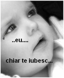 ~bebel~1