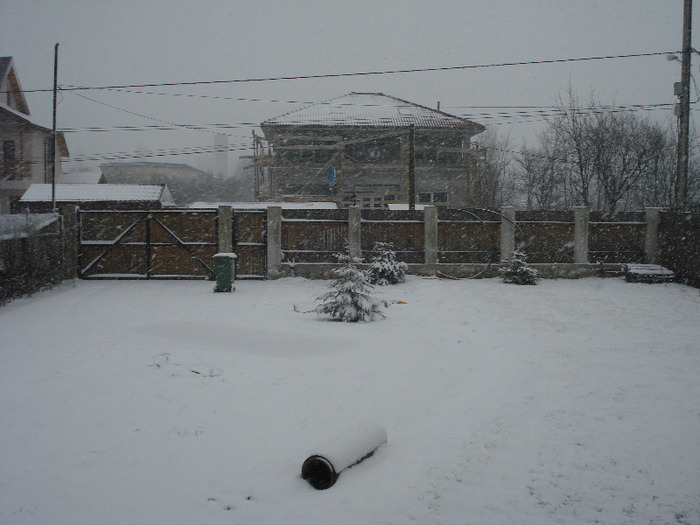 2009, February 13 - 02 Garden in February