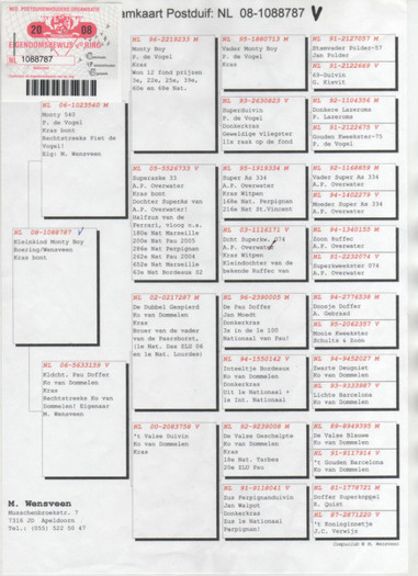 patata lista boy pedegree