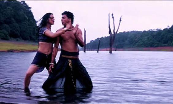 dil-se